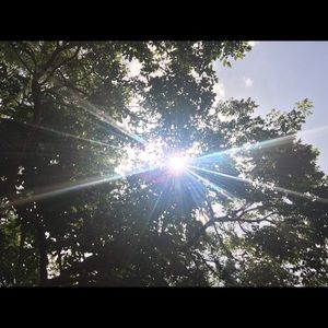 Meet your Posher, Virginia.